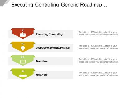 Executing controlling generic roadmap strategic assessment historical performance