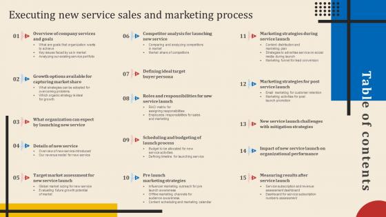 Executing New Service Sales And Marketing Process Table Of Contents Ppt Slides Background Images