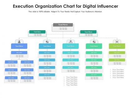 Execution organization chart for digital influencer infographic template