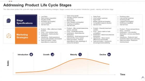 Execution plan for product launch addressing product life cycle stages