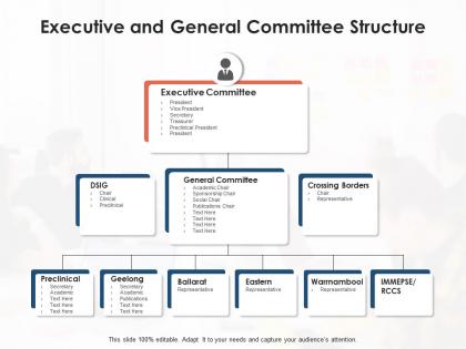 Executive and general committee structure