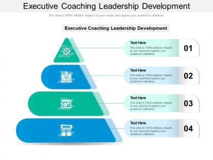 Executive coaching leadership development ppt powerpoint presentation file designs download cpb