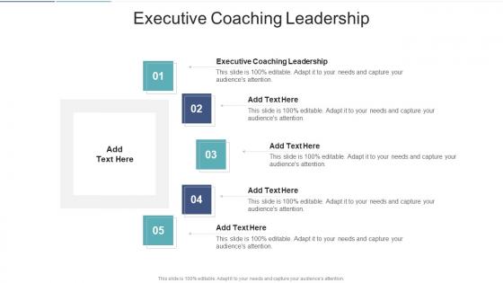 Executive Coaching Leadership In Powerpoint And Google Slides Cpb