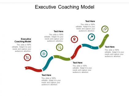 Executive coaching model ppt powerpoint presentation outline example introduction cpb