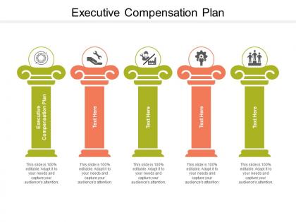 Executive compensation plan ppt powerpoint infographic template skills cpb