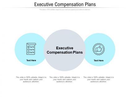 Executive compensation plans ppt powerpoint presentation slides examples cpb