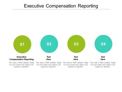 Executive compensation reporting ppt powerpoint presentation model design ideas cpb