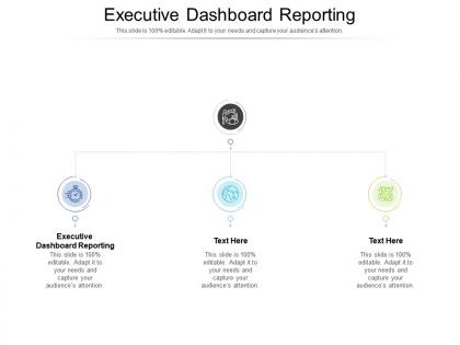 Executive dashboard reporting ppt powerpoint presentation background cpb
