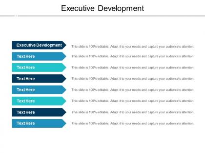 Executive development ppt powerpoint presentation slides diagrams cpb