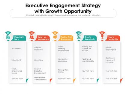 Executive engagement strategy with growth opportunity