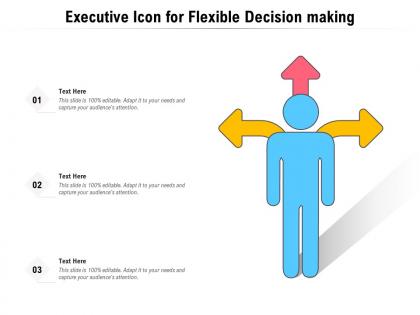 Executive icon for flexible decision making