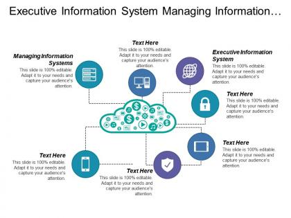 Executive information system managing information systems tacit knowledge