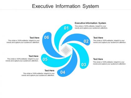 Executive information system ppt powerpoint presentation layouts maker cpb