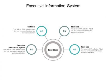 Executive information system ppt powerpoint presentation summary guide cpb