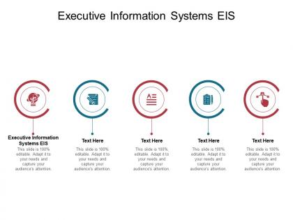 Executive information systems eis ppt powerpoint presentation portfolio slide portrait cpb