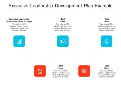 Executive leadership development plan example ppt powerpoint presentation layouts backgrounds cpb