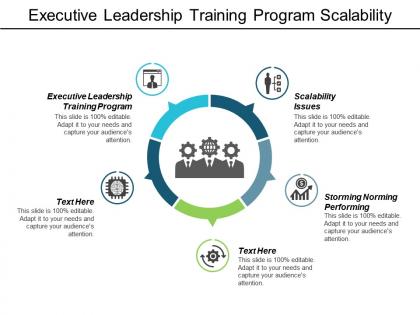 Executive leadership training program scalability issues storming norming performing cpb