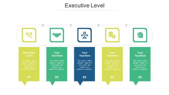 Executive level ppt powerpoint presentation infographic template structure cpb