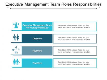 Executive management team roles responsibilities ppt powerpoint presentation file cpb