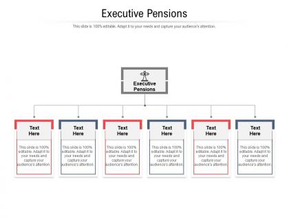 Executive pensions ppt powerpoint presentation infographics display cpb
