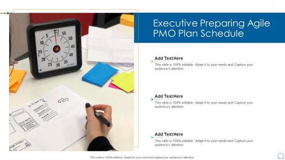 Executive preparing agile pmo plan schedule