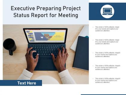 Executive preparing project status report for meeting