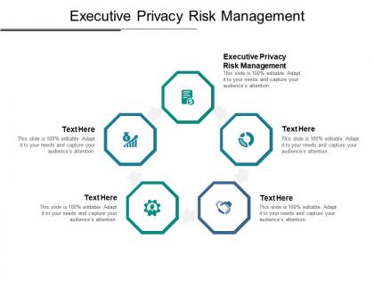 Executive privacy risk management ppt powerpoint presentation outline gallery cpb