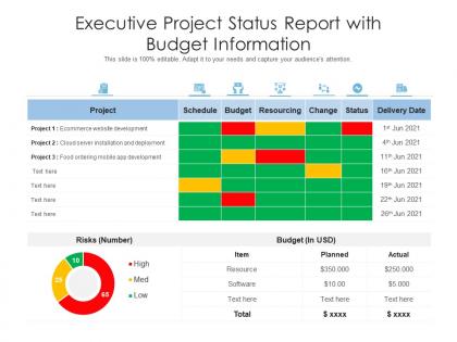 Executive project status report with budget information