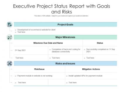 Executive project status report with goals and risks