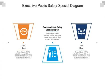 Executive public safety special diagram ppt powerpoint presentation outline cpb