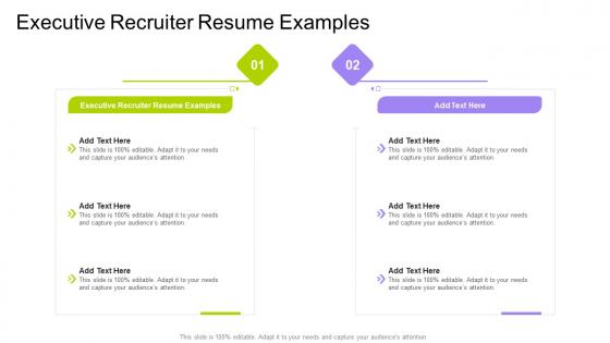 Executive Recruiter Resume Examples In Powerpoint And Google Slides Cpb