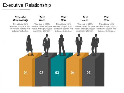 Executive relationship ppt powerpoint presentation styles graphics download cpb