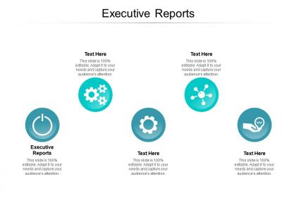 Executive reports ppt powerpoint presentation professional outfit cpb