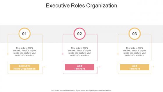 Executive Roles Organization In Powerpoint And Google Slides Cpb