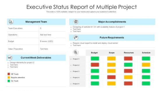 Executive status report of multiple project