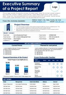 Executive summary of a project report presentation report infographic ppt pdf document