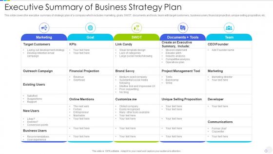 Executive summary of business strategy plan