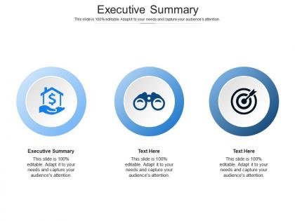 Executive summary ppt powerpoint presentation icon show cpb