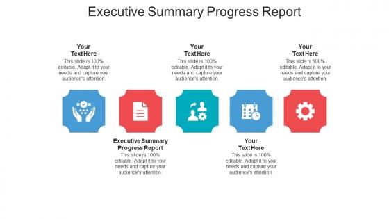 Executive summary progress report ppt powerpoint presentation gallery gridlines cpb
