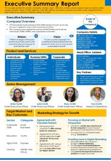 Executive summary report presentation report infographic ppt pdf document