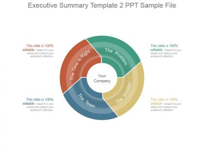 Executive summary template 2 ppt sample file