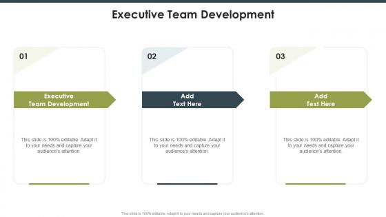 Executive Team Development In Powerpoint And Google Slides Cpb