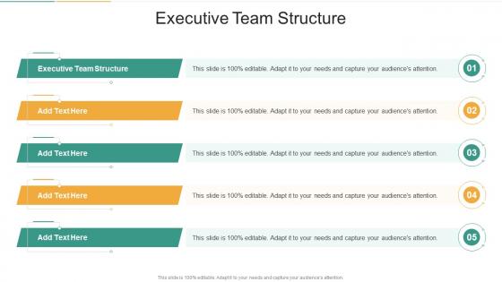 Executive Team Structure In Powerpoint And Google Slides Cpb