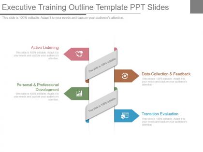 Executive training outline template ppt slides