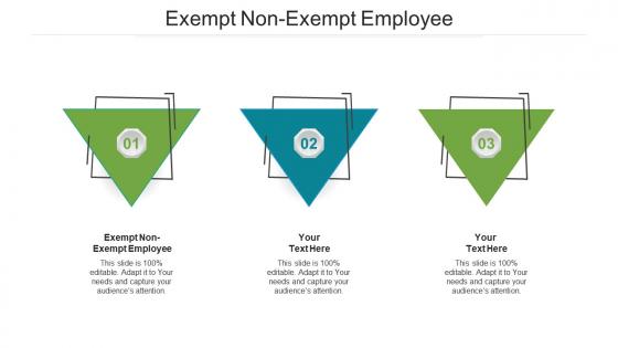 Exempt non exempt employee ppt powerpoint presentation infographics backgrounds cpb