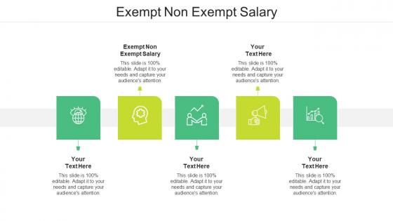 Exempt non exempt salary ppt powerpoint presentation styles slide download cpb