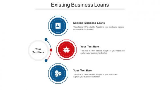 Existing Business Loans Ppt Powerpoint Presentation Model Example Topics Cpb