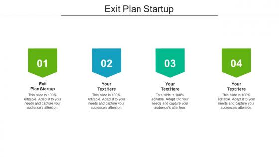 Exit plan startup ppt powerpoint presentation styles portrait cpb