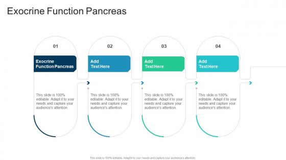 Exocrine Function Pancreas In Powerpoint And Google Slides Cpb