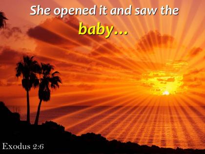 Exodus 2 6 opened it and saw the baby powerpoint church sermon